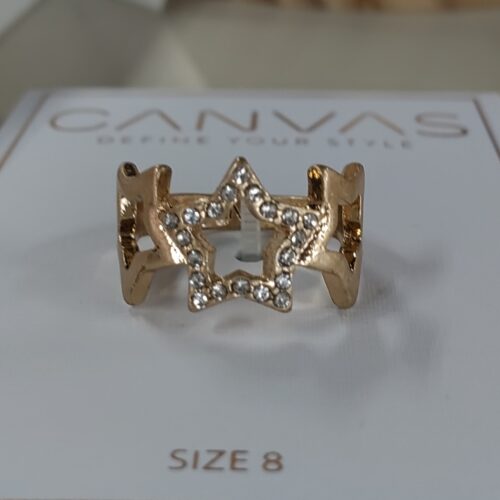 Andi Pavé Star Ring in Worn Gold