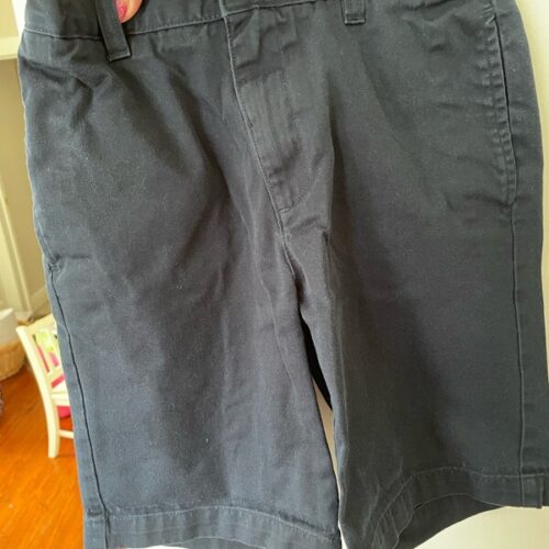 Lands End Shorts Navy