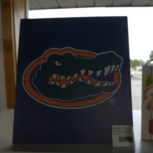 12x13 Team Logo Florida Gators