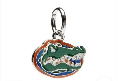 Florida Pendent Charm