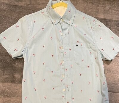Dress Shirts & Polos STARTING @