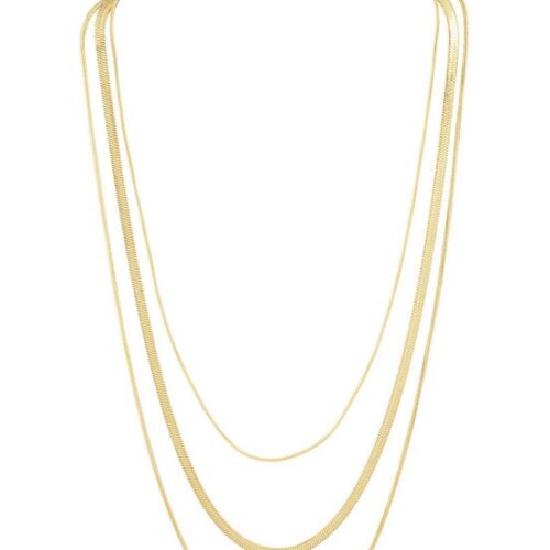 The Rachel Multi Chain